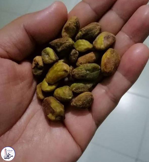 مالیات بر آجیل با پوست، انگلستان